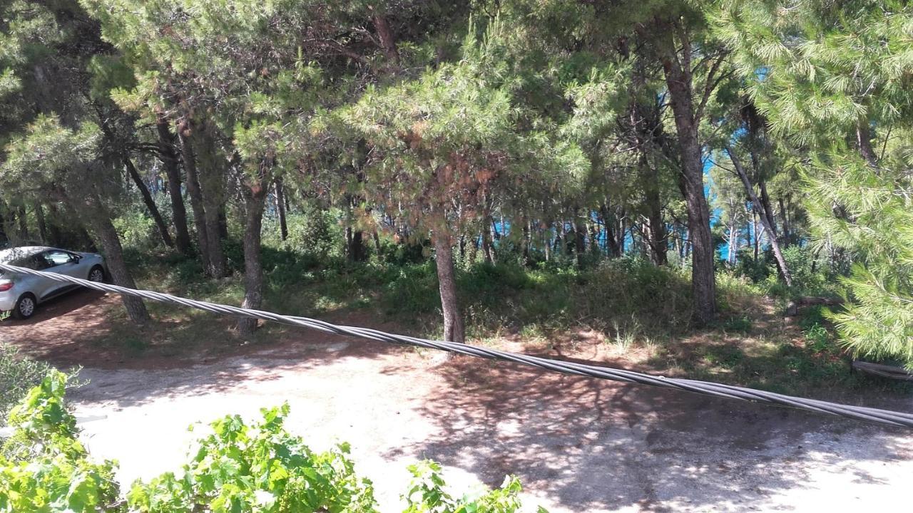 Villa Mateja Donji Okrug  Екстер'єр фото